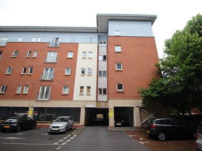 Picture 10